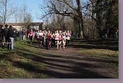 Begles 15.12.13 01 443 * 679 x 453 * (175KB)